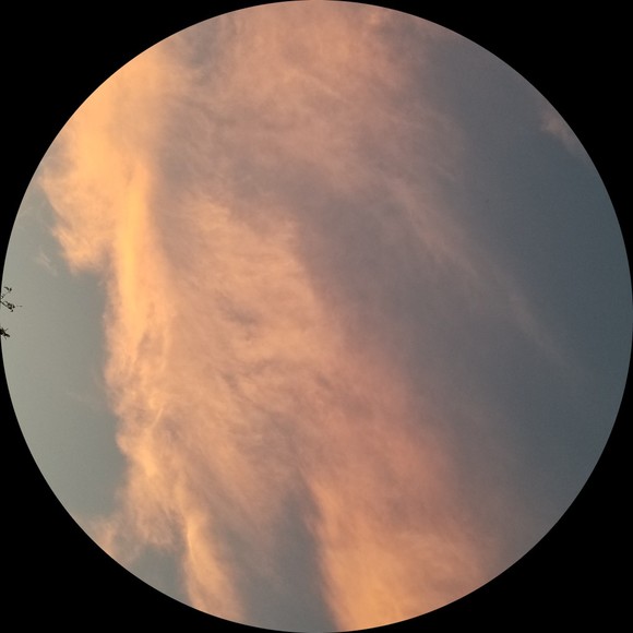 Meet your Posher, Rachel - Picture 1 of 1